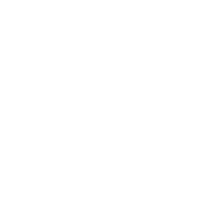 Top 500 Fastest Growing